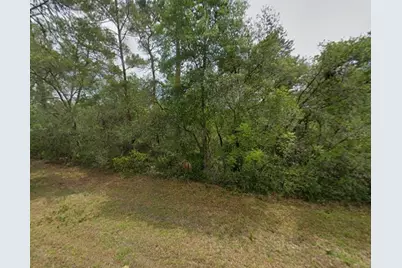 Tbd SW 31 Court, Ocala, FL 34473 - Photo 2