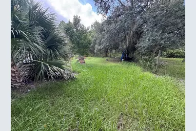 28148 Hibiscus Avenue, Paisley, FL 32767 - Photo 36
