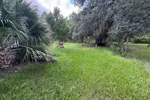 28148 Hibiscus Ave, Paisley, FL 32767 - Photo 36