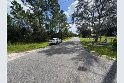 28148 Hibiscus Avenue, Paisley, FL 32767 - Photo 50