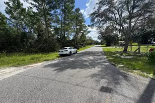 28148 Hibiscus Ave, Paisley, FL 32767 - Photo 48
