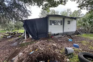 28148 Hibiscus Ave, Paisley, FL 32767 - Photo 38