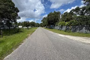 28148 Hibiscus Ave, Paisley, FL 32767 - Photo 42
