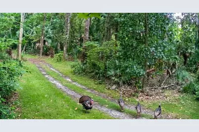3435 N Highway 314A, Silver Springs, FL 34488 - Photo 78