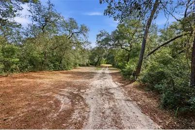 3435 N Highway 314A, Silver Springs, FL 34488 - Photo 88