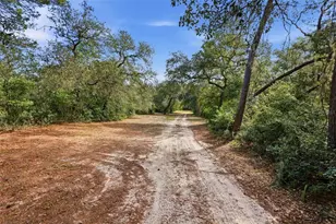 3435 N Hwy 314 A, Silver Springs, FL 34488 - Photo 88