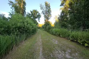 3435 N Hwy 314 A, Silver Springs, FL 34488 - Photo 92