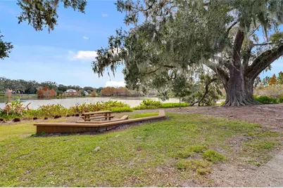 150 Hammock Preserve Loop, Oakland, FL 34787 - Photo 34