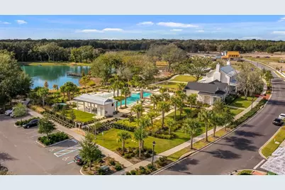150 Hammock Preserve Loop, Oakland, FL 34787 - Photo 38