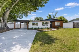 4502 S Grady Ave, Tampa, FL 33611 - Photo 2