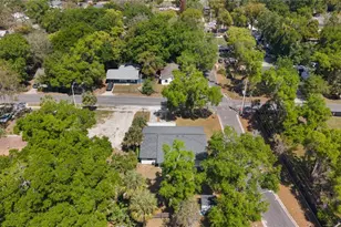 1124 N Grant Ave, Mount Dora, FL 32757 - Photo 2