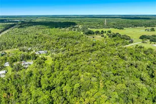 425 S Fort Christmas Rd, Christmas, FL 32709 - Photo 8