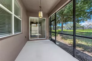 22004 Belgian Ct, Mount Dora, FL 32757 - Photo 22