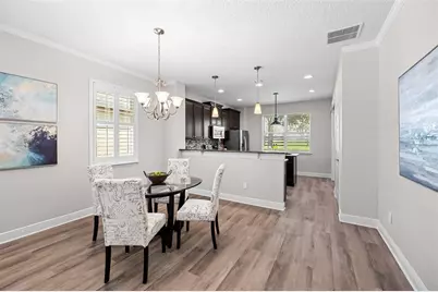22004 Belgian Court, Mount Dora, FL 32757 - Photo 8