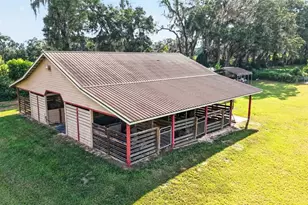 20540 SW 5th Pl, Dunnellon, FL 34431 - Photo 6