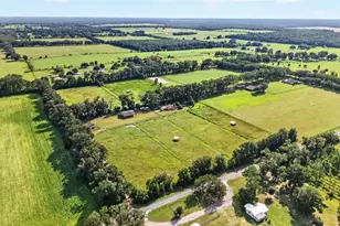 20540 SW 5th Pl, Dunnellon, FL 34431 - Photo 48