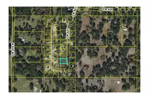 Cr 423, Lake Panasoffkee, FL 33538 - Photo 1