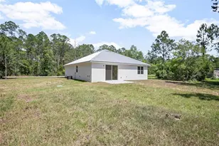 4253 Fruitwood Ave, Bunnell, FL 32110 - Photo 12