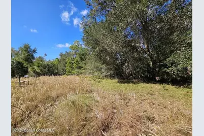 4600 Beacon Light Road, Edgewater, FL 32141 - Photo 10