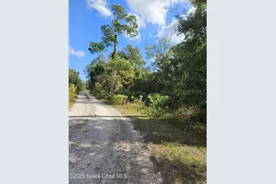 4600 Beacon Light Road, Edgewater, FL 32141 - Photo 4