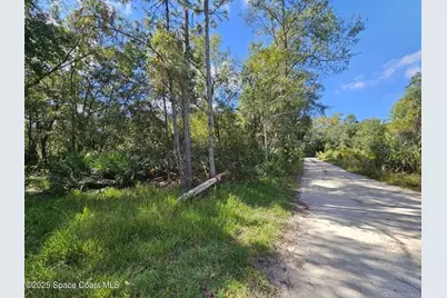 4600 Beacon Light Road, Edgewater, FL 32141 - Photo 6