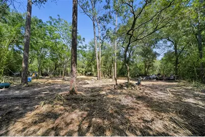 31526 Sunrise Street, Mount Dora, FL 32757 - Photo 2
