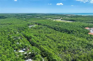 168 Long Leaf Cir, Santa Rosa Beach, FL 32459 - Photo 56