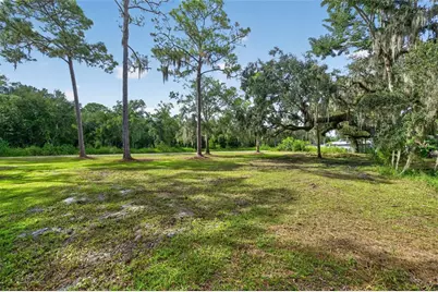 Swamp Lane, Geneva, FL 32732 - Photo 2
