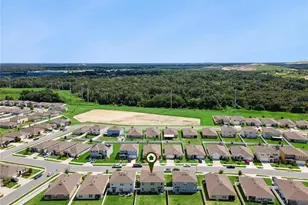 3625 Diving Dove Ln, Bartow, FL 33830 - Photo 46