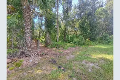 N Spring Garden Avenue, Deland, FL 32720 - Photo 42