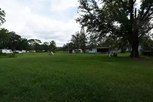1005 Grandaddy Ln, Lutz, FL 33548 - Photo 6