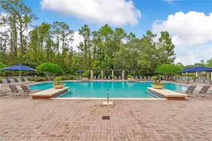 14169 Avenue of the Groves, Winter Garden, FL 34787 - Photo 36