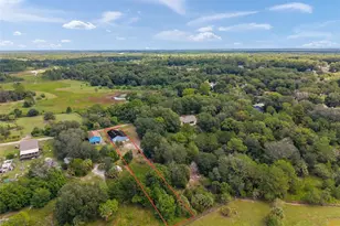 31128 Lochmore Cir, Mount Plymouth, FL 32776 - Photo 40