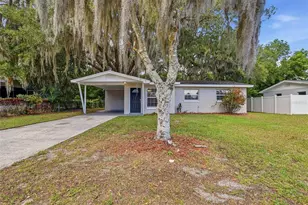 1317 Braebury Dr, Leesburg, FL 34748 - Photo 1