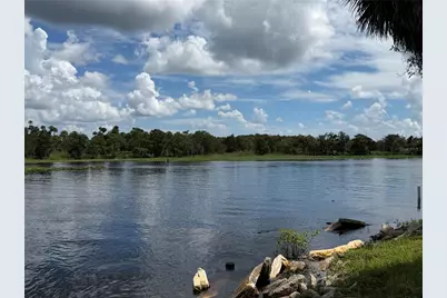 1041 Lemon Bluff Road, Osteen, FL 32764 - Photo 6