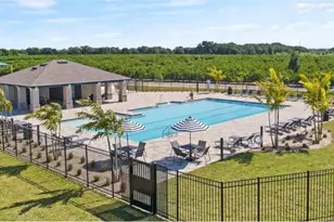572 Reggie Rd, Winter Haven, FL 33884 - Photo 14