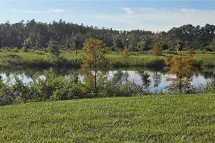 3910 Bigarade Ln, Lake Alfred, FL 33850 - Photo 24