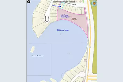 15562 Waterleigh Cove Drive, Winter Garden, FL 34787 - Photo 4