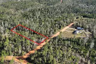 Bienville Ct, Alford, FL 32420 - Photo 1