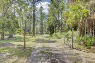 420 Smith Rd, Osteen, FL 32764 - Photo 40