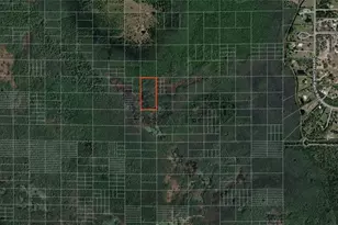 Holopaw Groves Rd, Saint Cloud, FL 34773 - Photo 1