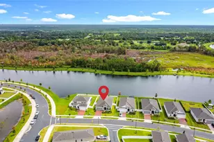 1061 Chasetree Ln, Saint Cloud, FL 34771 - Photo 48