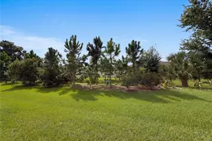 5319 Stoic Vale Dr, Wimauma, FL 33598 - Photo 18