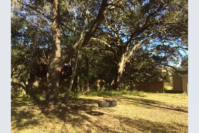 3159 Duane Avenue, Oldsmar, FL 34677 - Photo 4
