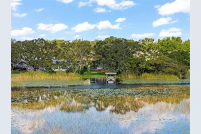 3278 Downs Cove Rd Road, Windermere, FL 34786 - Photo 22