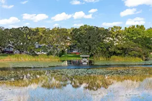 3278 Downs Cove Rd Rd, Windermere, FL 34786 - Photo 22