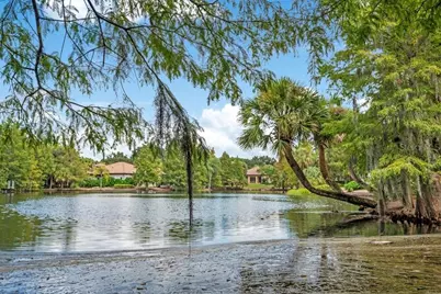 4906 Aviva Garden Court, Windermere, FL 34786 - Photo 92