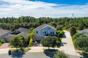 10192 Lovegrass Ln, Orlando, FL 32832 - Photo 82