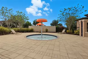 10312 Belfry Cir, Orlando, FL 32832 - Photo 38