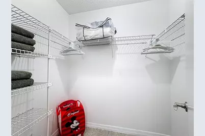 3221 White Dove Lane, Kissimmee, FL 34746 - Photo 24